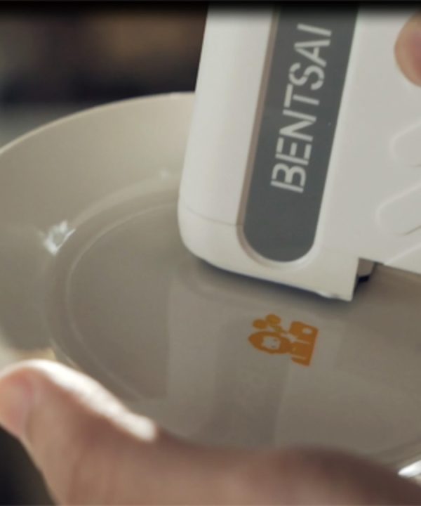 BENTSAI- B15 - Image 2